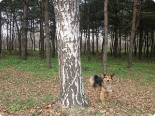 ����������������� ��������������� � ������� ���.