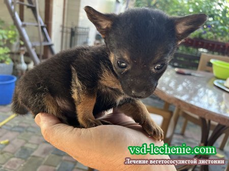 ����� ������ ������������ ��� ���.